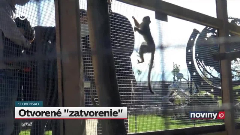 Otvorené "zatvorenie"