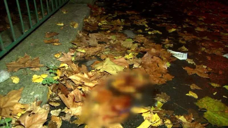 Krvavý incident. Muž bodol do krku priateľa svojej bývalej ženy