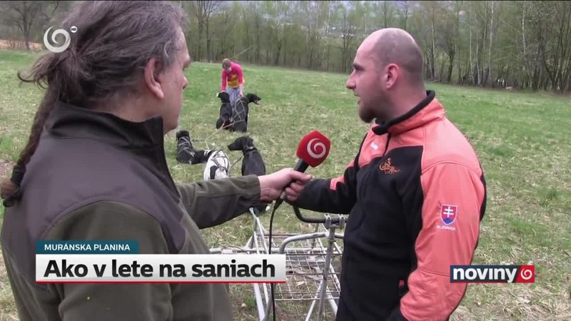 Ako v lete na saniach