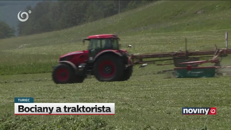 Bociany a traktorista