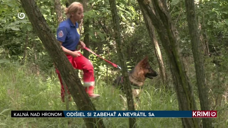 ODIŠIEL SI ZABEHAŤ A NEVRÁTIL SA