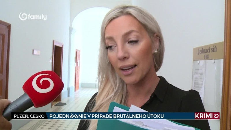POJEDNÁVANIE V PRÍPADE BRUTÁLNEHO ÚTOKU