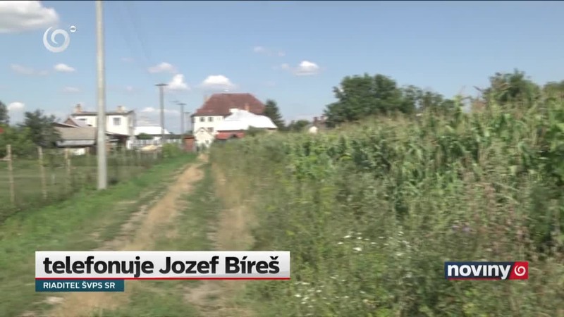 Africký mor ošípaných