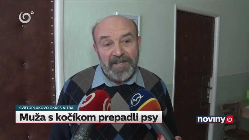 Muža s kočíkom prepadli psy