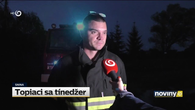 Topiaci sa tínedžer