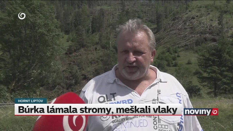 Búrka lámala stromy, meškali vlaky