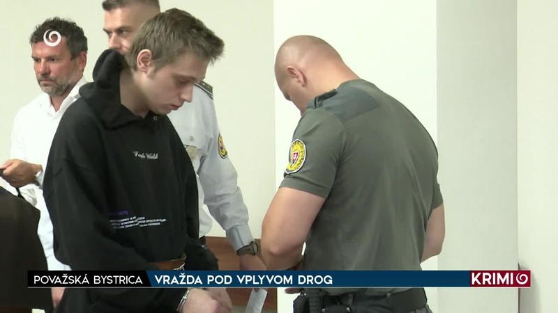VRAŽDA POD VPLYVOM DROG