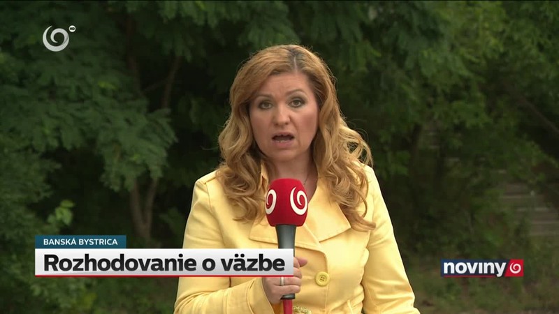 Rozhodovanie o väzbe