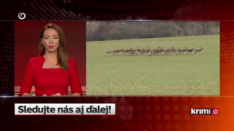 Inšpekcia zistila porušenia na APZ