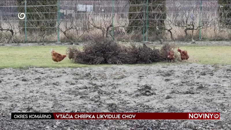 VTÁČIA CHRÍPKA LIKVIDUJE CHOV