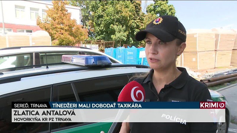 TÍNEDŽERI MALI DOBODAŤ TAXIKÁRA