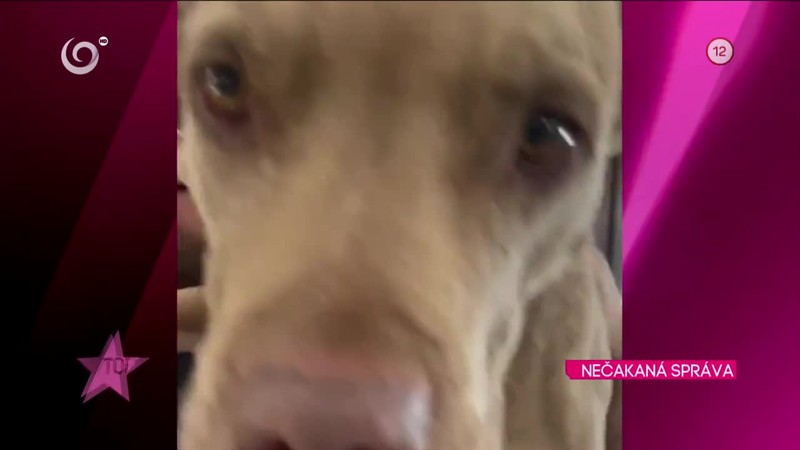 NEČAKANÁ SPRÁVA Vendula Pizingerová