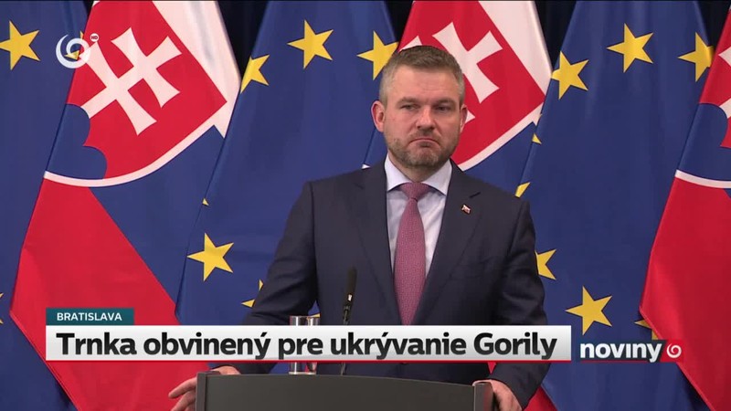 Trnka obvinený pre ukrývanie Gorily