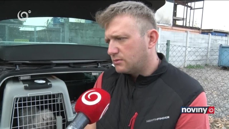 Našli sa po pol roku