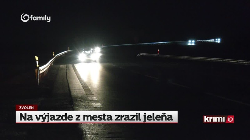 Na výjazde z mesta zrazil jeleňa