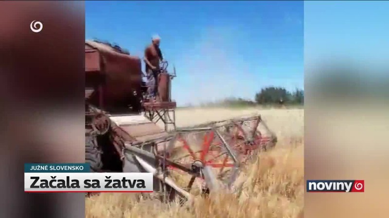 Začala sa žatva