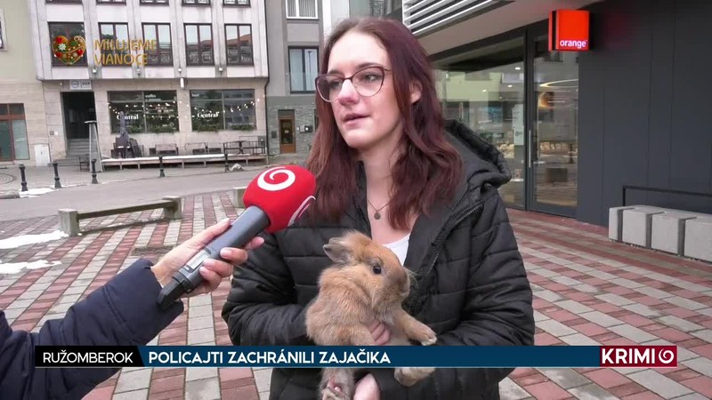 POLICAJTI ZACHRÁNILI ZAJAČIKA