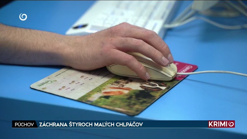 ZÁCHRANA ŠTYROCH MALÝCH CHLPÁČOV