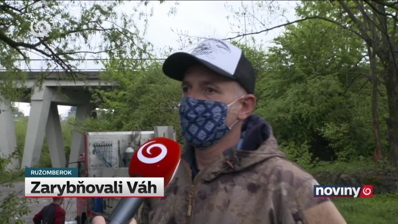 Zarybňovali Váh