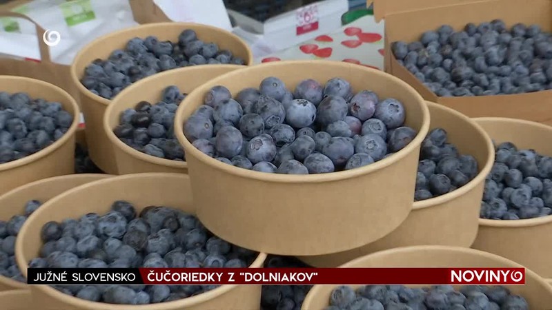 ČUČORIEDKY Z "DOLNIAKOV"