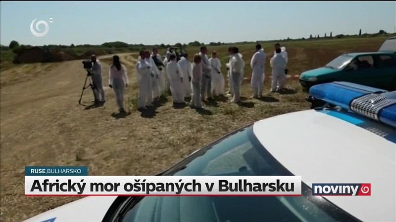 Africký mor ošípaných v Bulharsku
