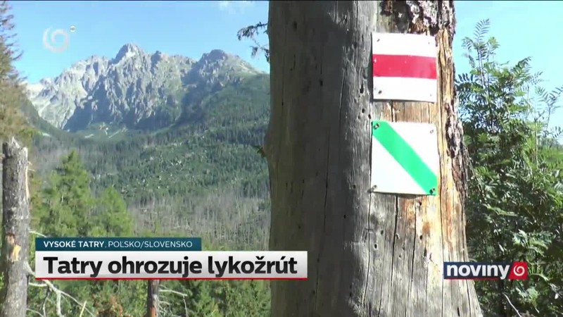 Tatry ohrozuje lykožrút