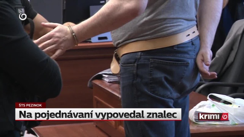 Na pojednávaní vypovedal znalec