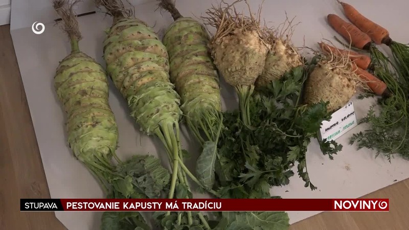 PESTOVANIE KAPUSTY MÁ TRADÍCIU