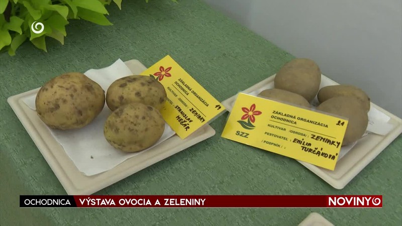 VÝSTAVA OVOCIA A ZELENINY