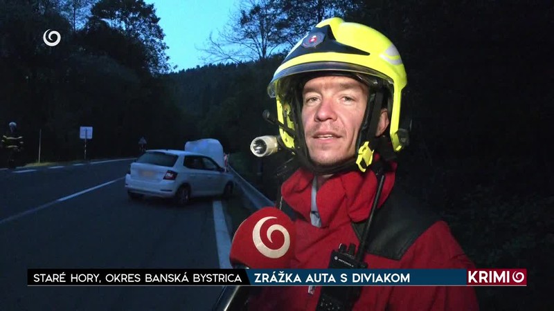 ZRÁŽKA AUTA S DIVIAKOM