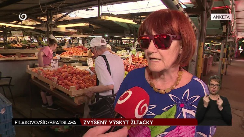 ZVÝŠENÝ VÝSKYT ŽLTAČKY