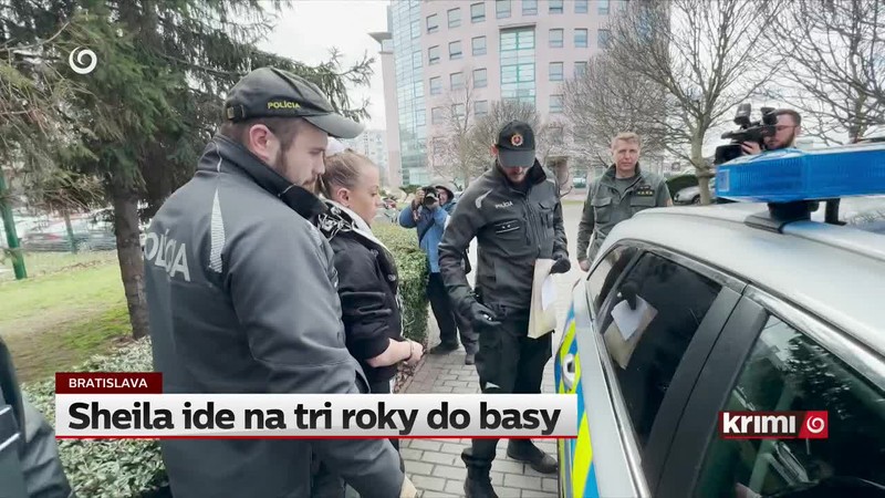 Sheila ide na tri roky do basy