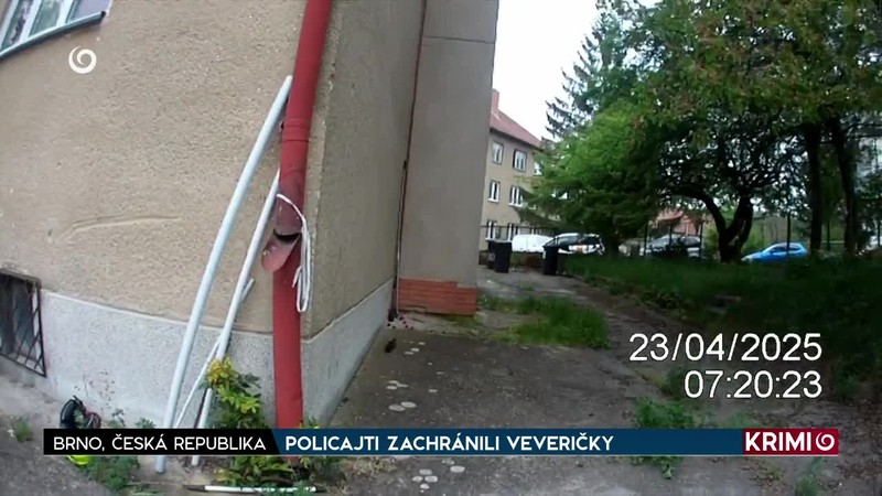 POLICAJTI ZACHRÁNILI VEVERIČKY