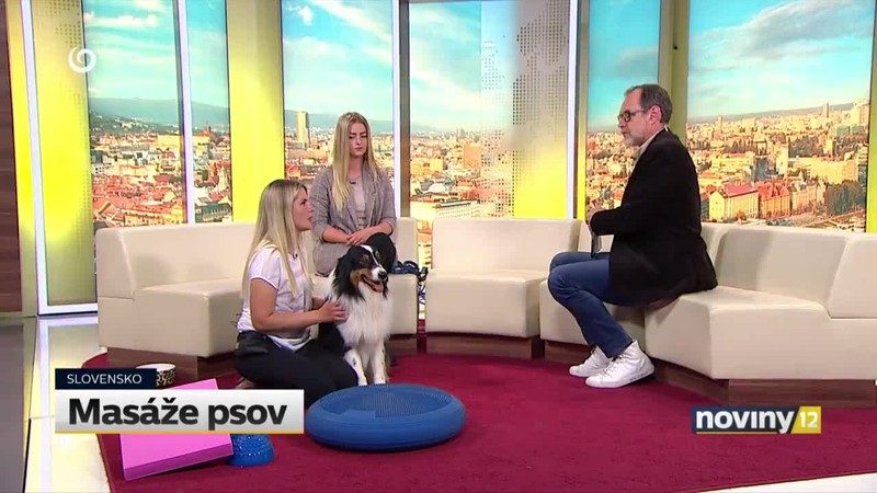 Masáže psov