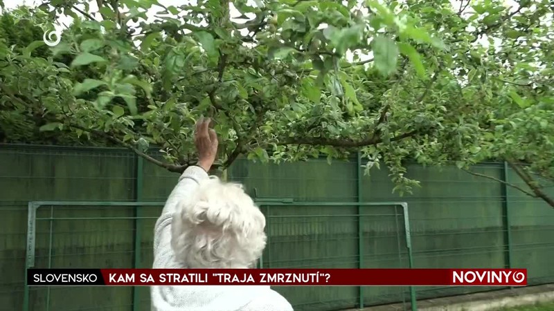 KAM SA STRATILI "TRAJA ZMRZNUTÍ"?