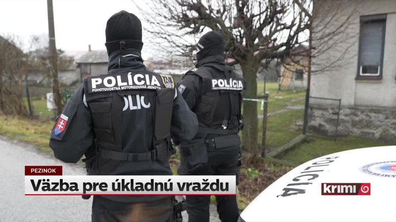 Väzba pre úkladnú vraždu