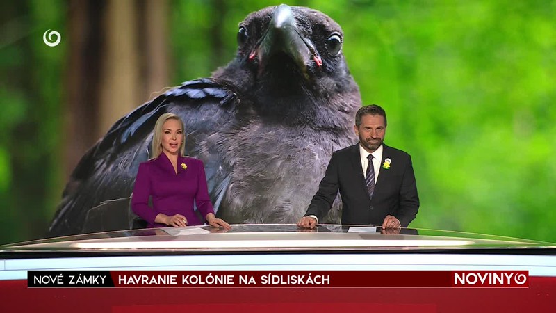 PARLAMENTNÉ VOĽBY VYHRALA VLÁDNA STRANA