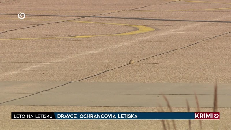 DRAVCE, OCHRANCOVIA LETISKA