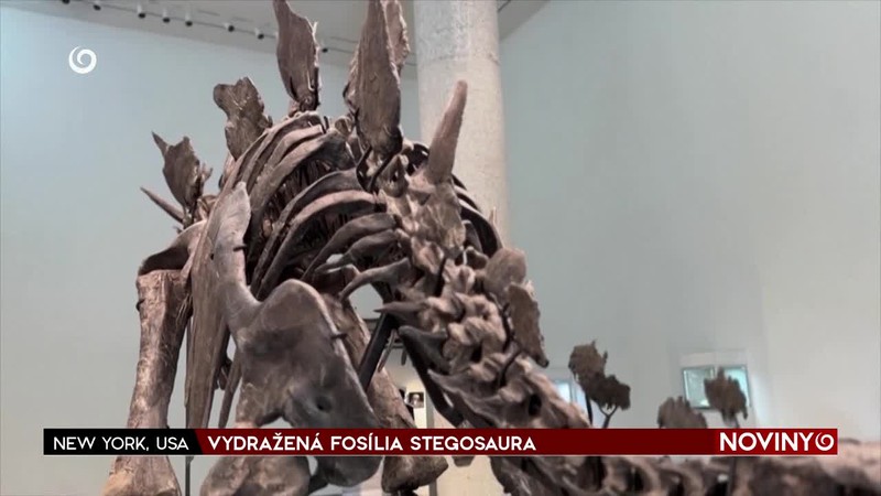 VYDRAŽENÁ FOSÍLIA STEGOSAURA