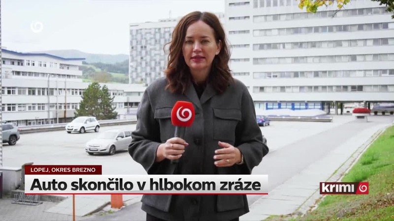 Auto skončilo v hlbokom zráze