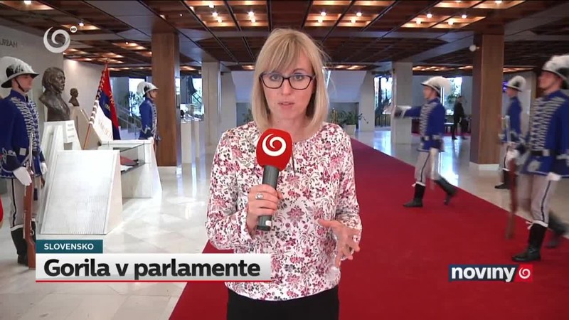 Gorila v parlamente