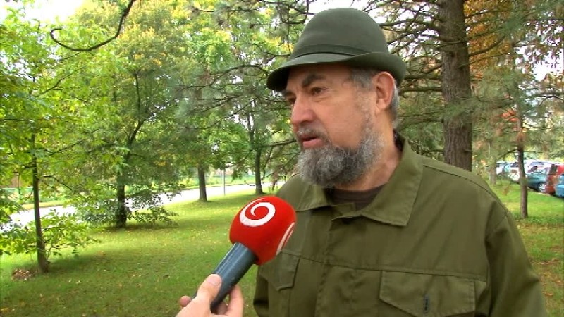 Stretnúť diviaka v meste nie je problém. Jedného museli prísť odstreliť poľovníci