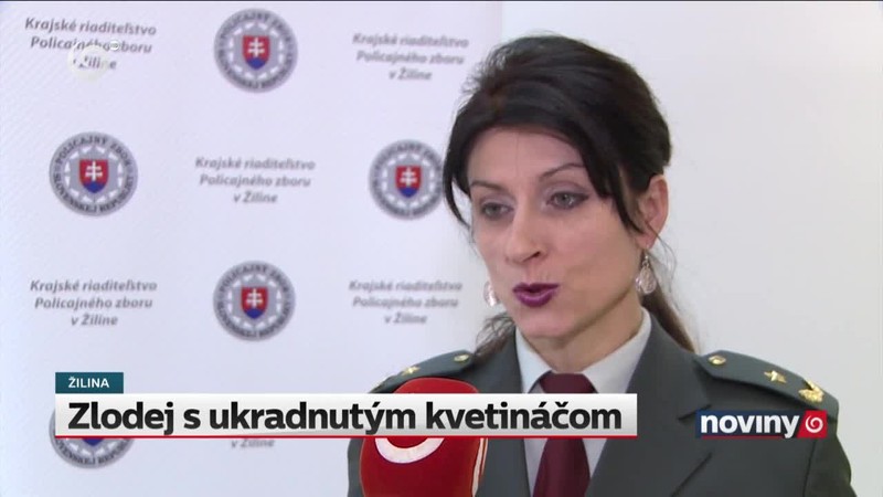 Zlodej s ukradnutým kvetináčom