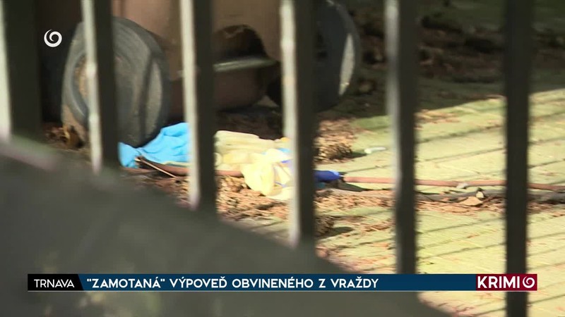 "ZAMOTANÁ" VÝPOVEĎ OBVINENÉHO Z VRAŽDY