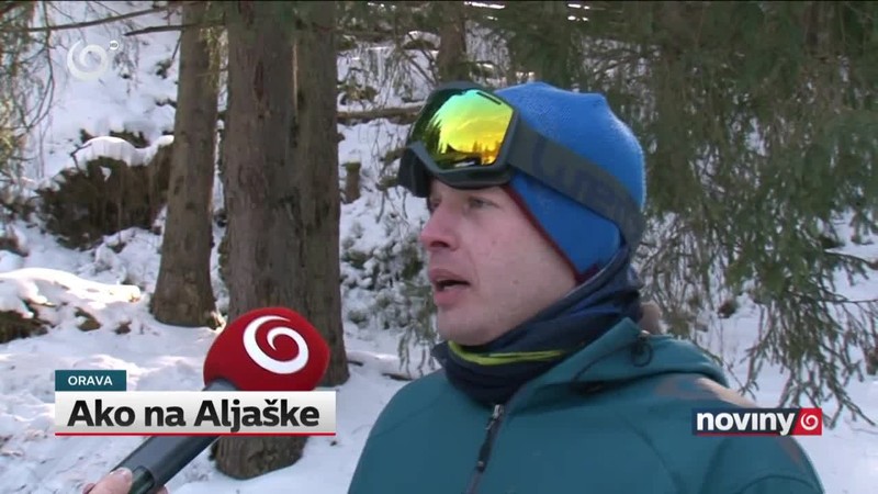 Ako na Aljaške