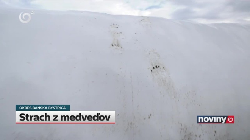 Strach z medveďov
