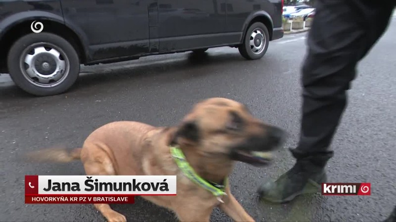 Zvrat v prípade
