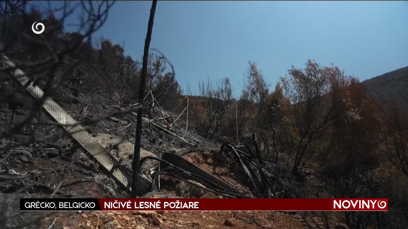 NIČIVÉ LESNÉ POŽIARE
