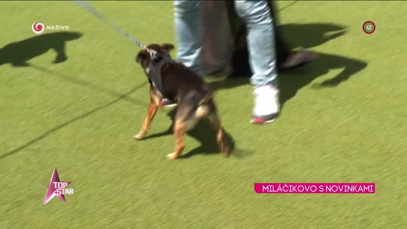 MILÁČIKOVO S NOVINKAMI