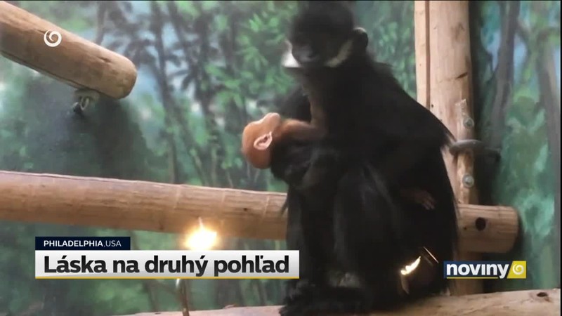 Láska na druhý pohľad
